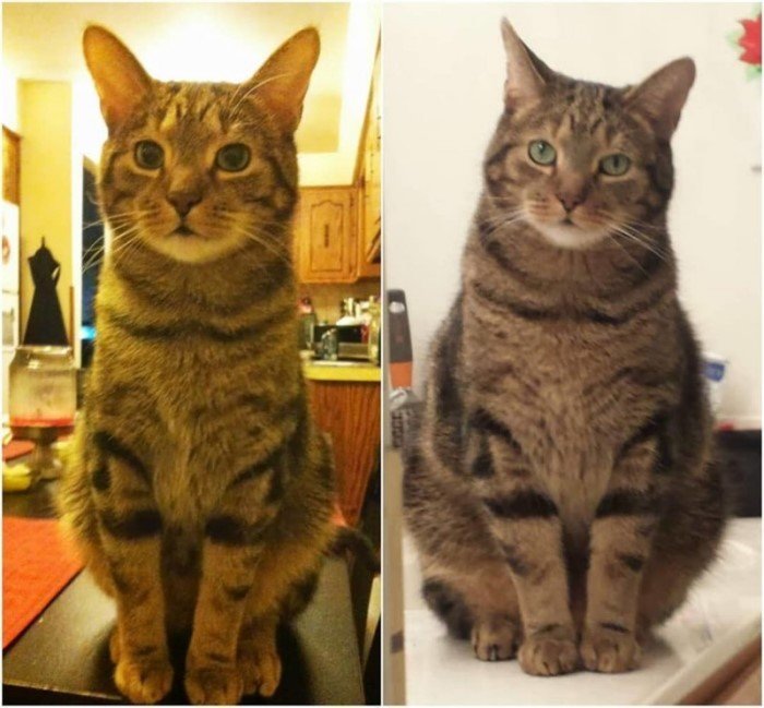 2012 против 2018 2012 против 2018