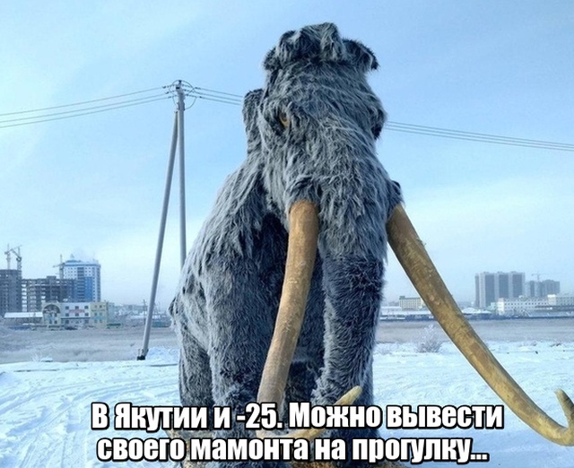 Прикольчики