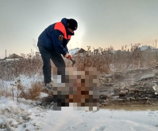 Спасение лошади и жеребенка из "ледяной ловушки" в Якутии
