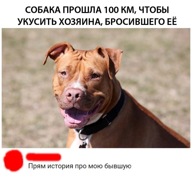 Прикольчики