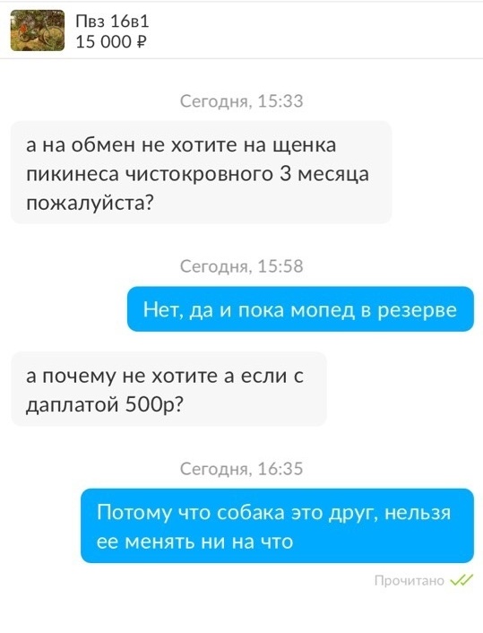 Прикольчики