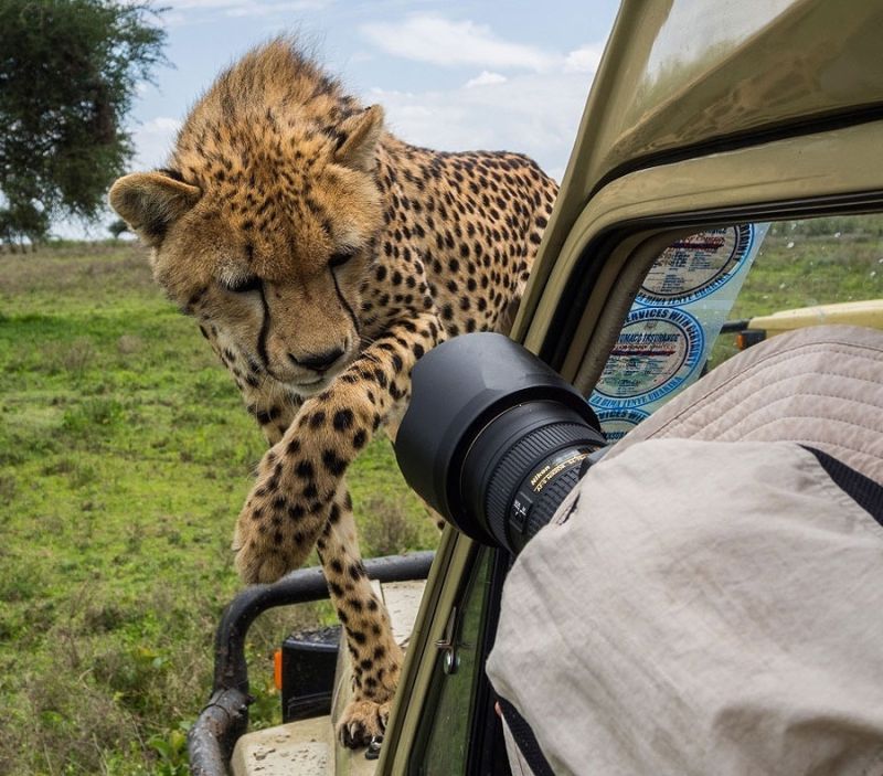 Суровые будни фотографов-анималистов National Geographic