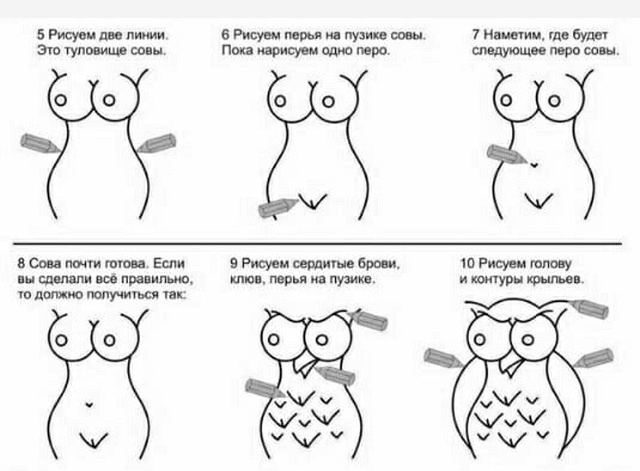 Необычная инструкция: как "правильно" рисовать сову