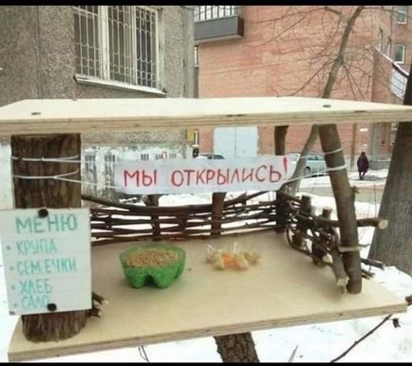 Специфический юмор