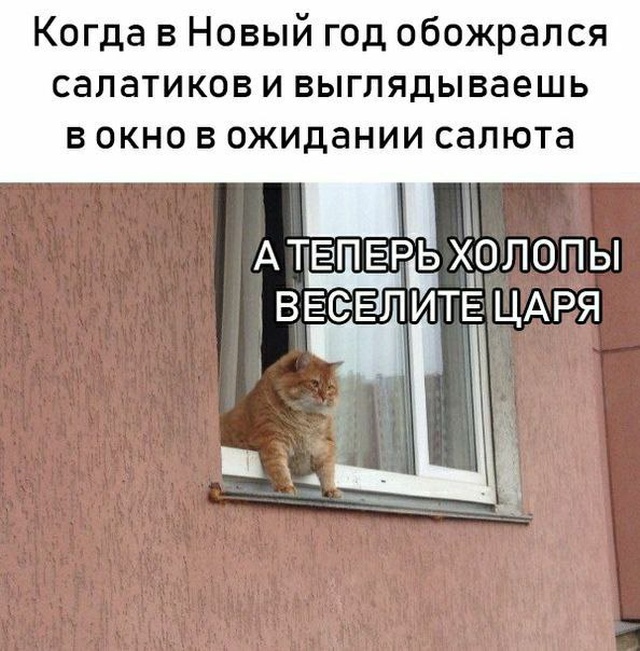 Немного картинок