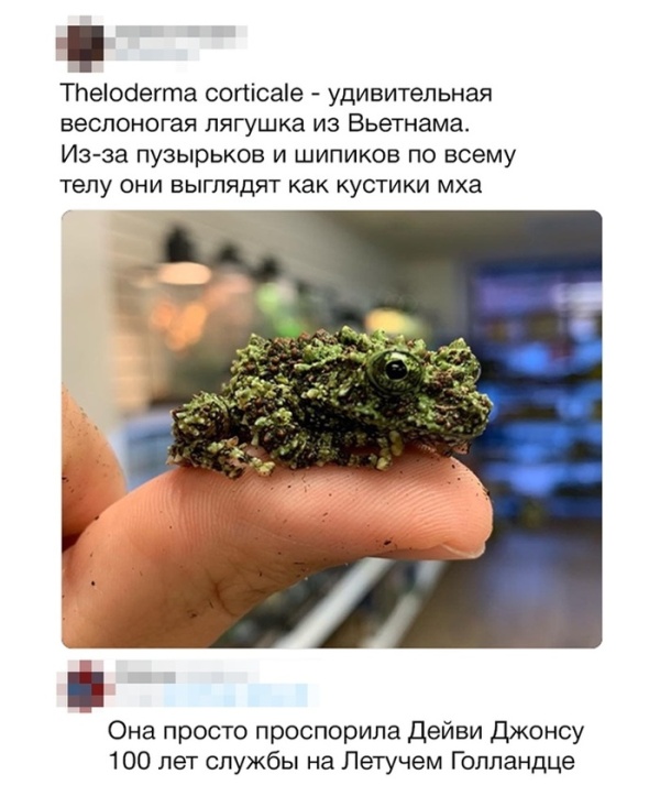 Шутки и юмор от блогеров из Twitter