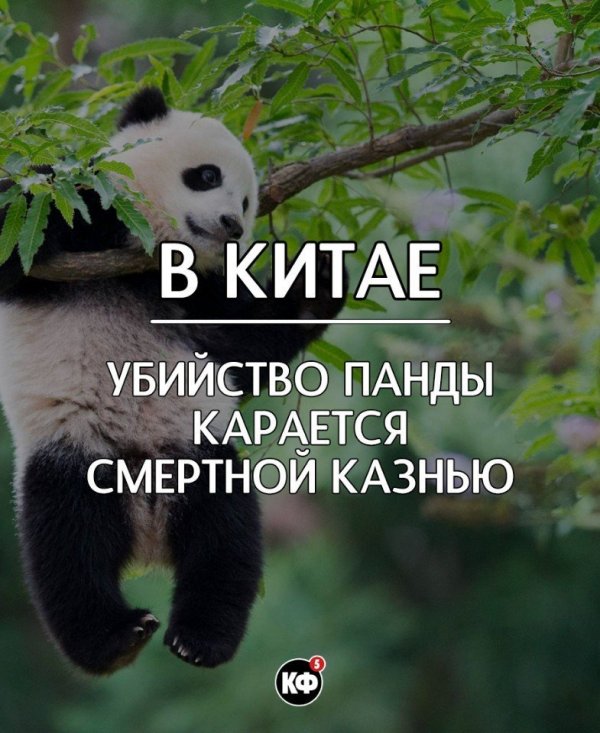 Краткие факты