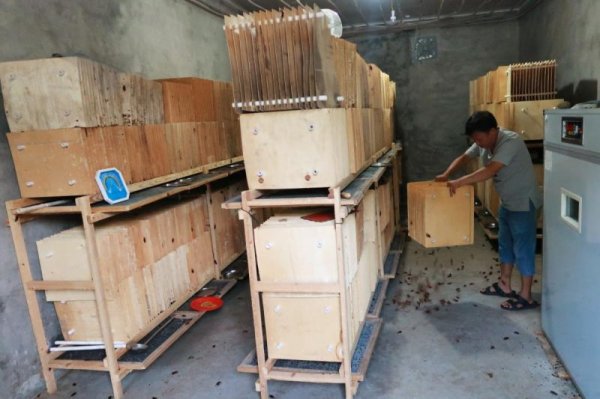 Китайцы припахали тараканов к утилизации отходов