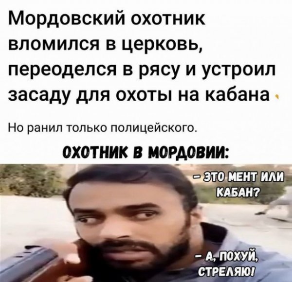 Прикольные картинки