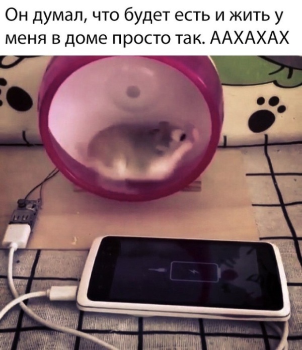 Прикольчики