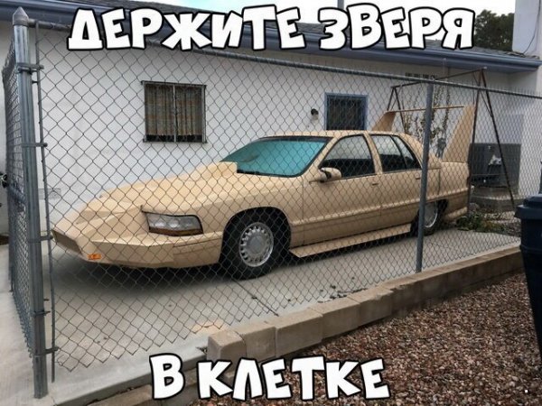 Автоприколы