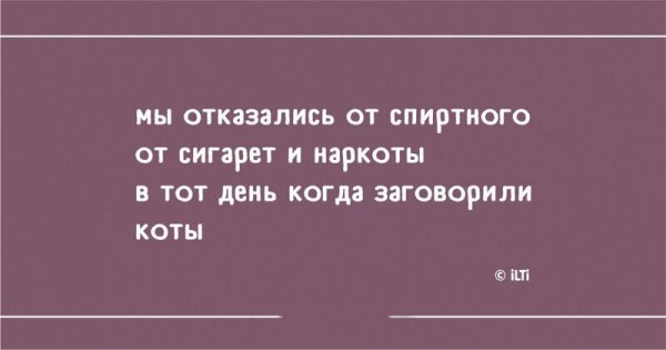 Стишки-пирожки обо всем на свете