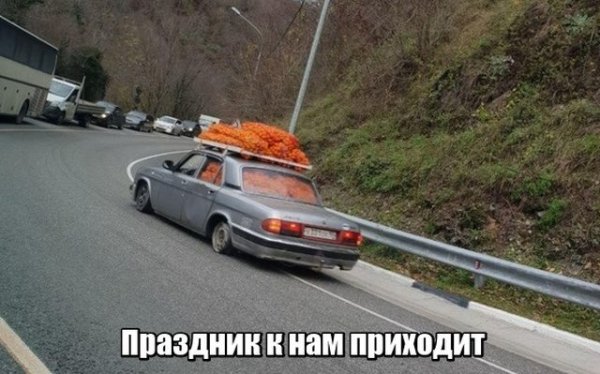 Новогодние приколы