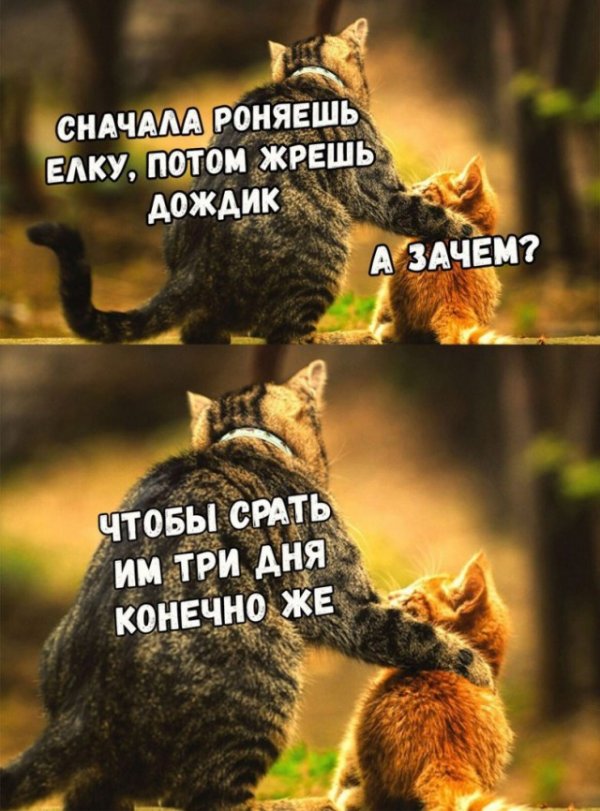 Новогодние приколы