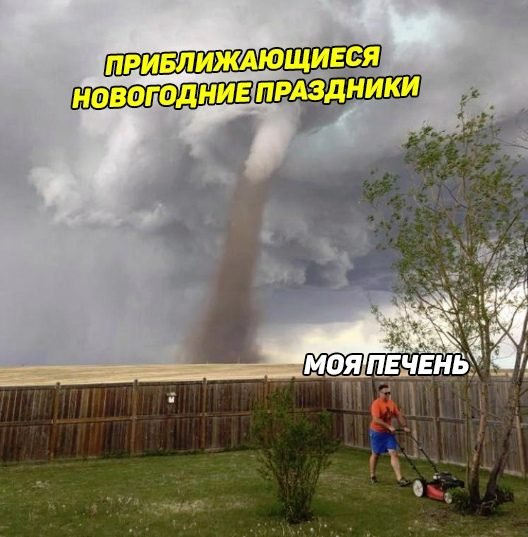 Новогодние приколы