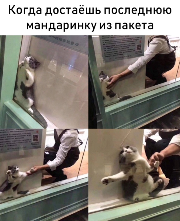 Прикольчики