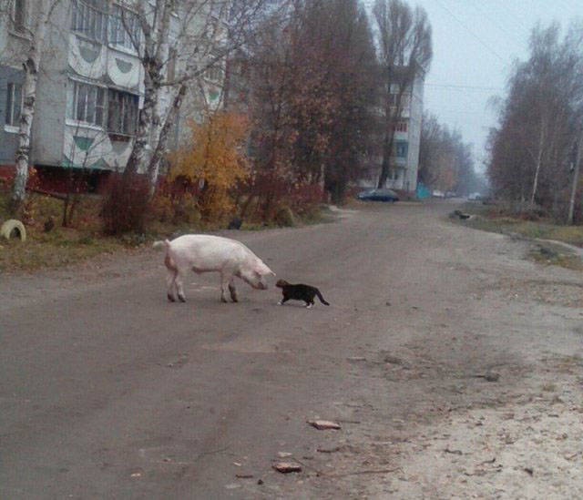 Фотографии с российских просторов