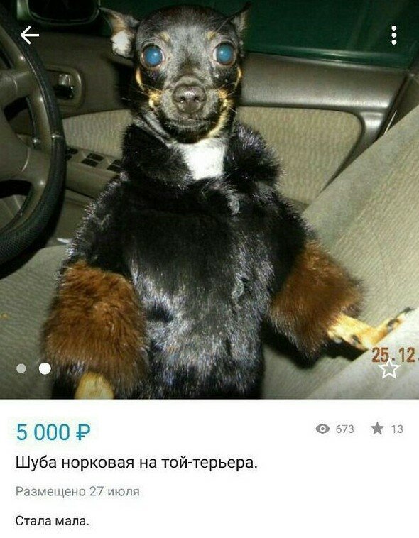 Приколы с Авито