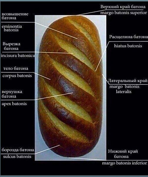 Последняя медицинская деградация на этот год