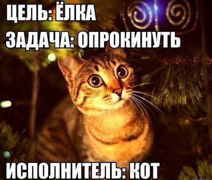 Коты и новогодние елки