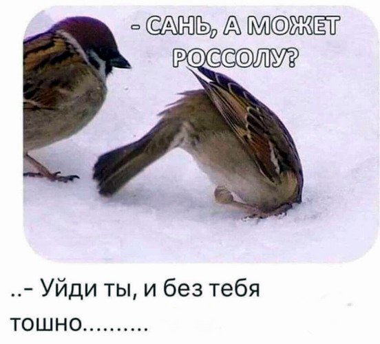 Приколюхи