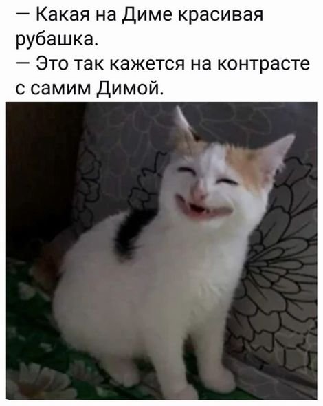 Приколюхи