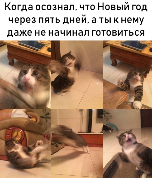 Прикольчики