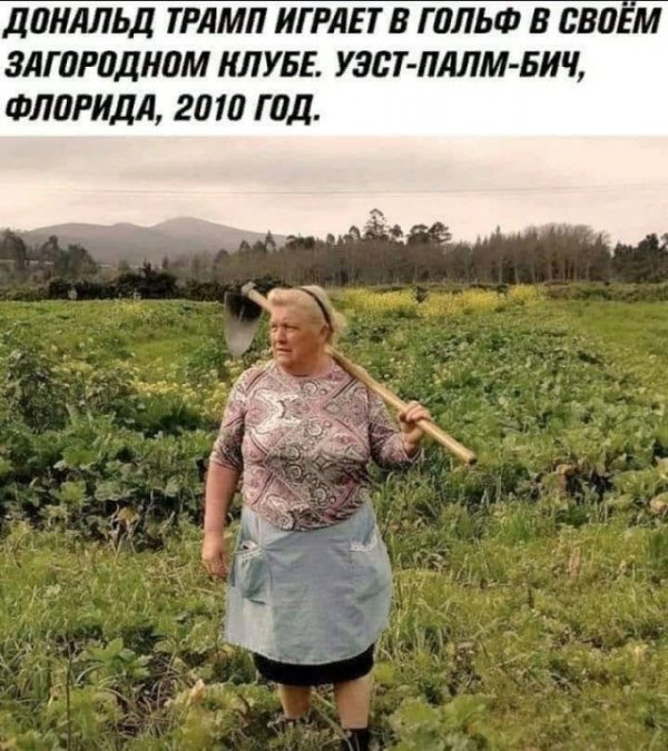 Приколюхи