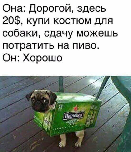 Приколюхи