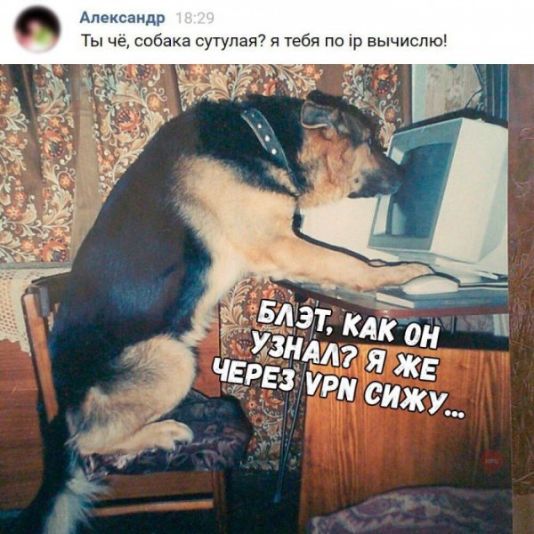 Приколы