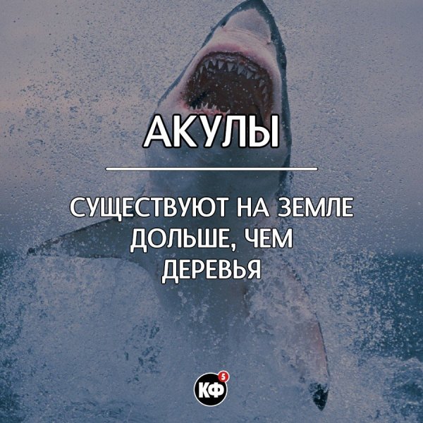 Краткие факты