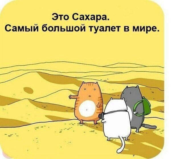 Картинки