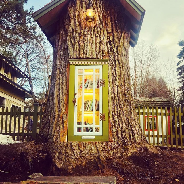 Перевоплощение старого 110-летнего дерева
