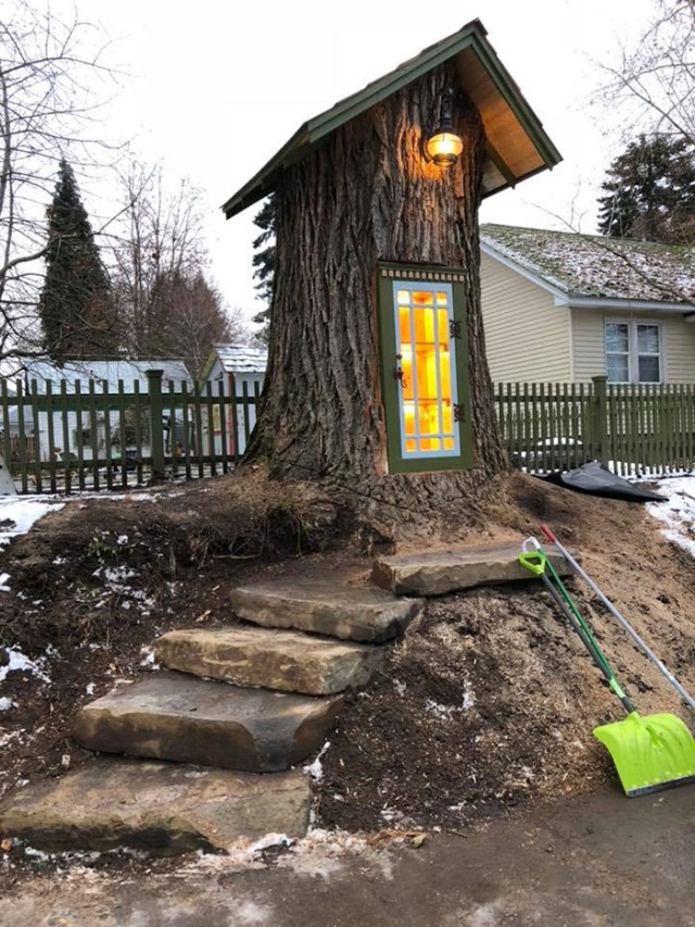 Перевоплощение старого 110-летнего дерева