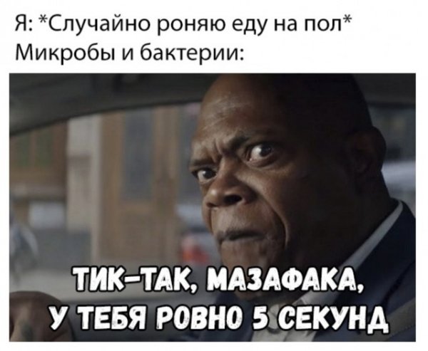 Смешные картинки