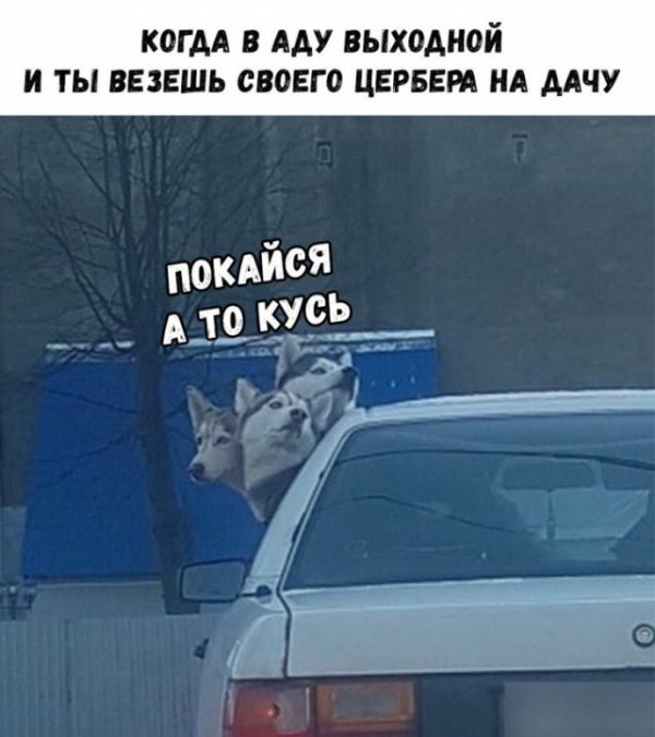 Приколы