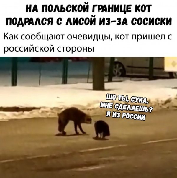 Веселые картинки