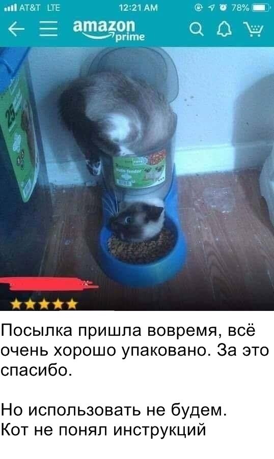 Прикольчики