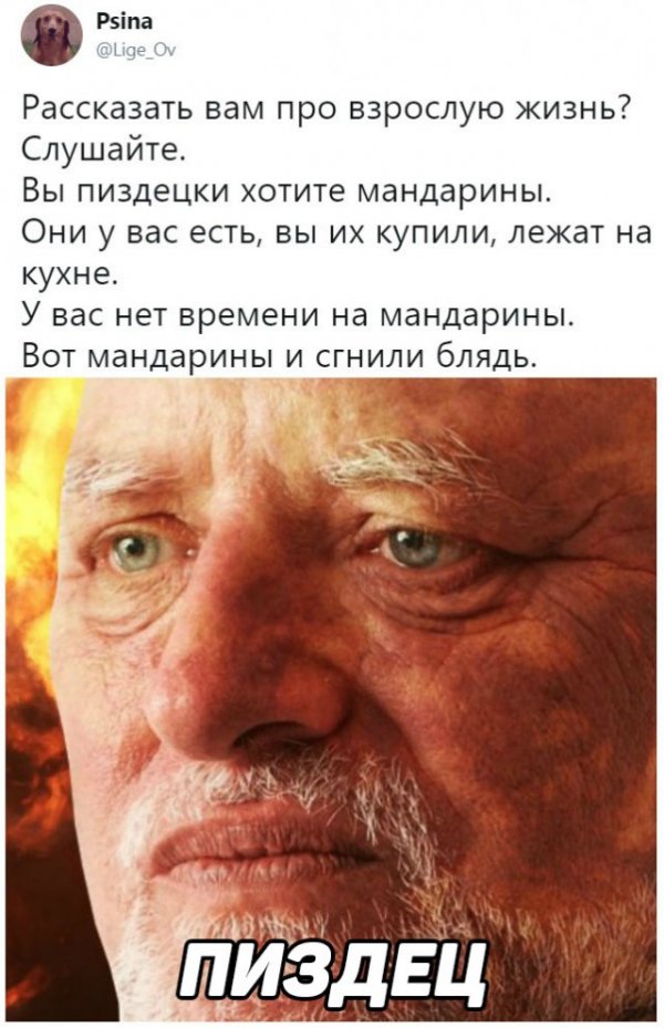 Прикольчики