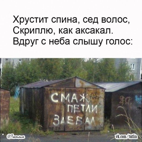 Стихо+картинки