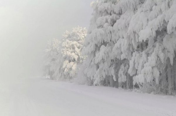 Сибирская зима