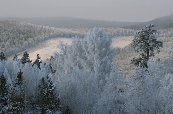 Сибирская зима