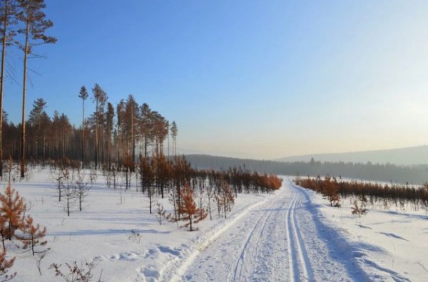 Сибирская зима