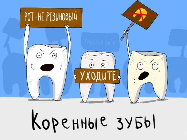 Юмористические картинки - вынос мозга