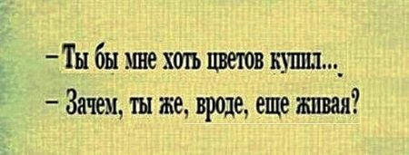 Анекдоты, соц-сети и картинки с надписями