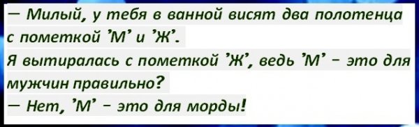 Анекдоты, соц-сети и картинки с надписями