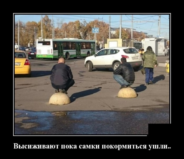 Демотиваторы