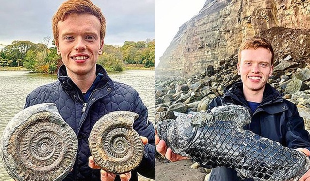 Британец нашел на пляже древнее существо, возраст которого может составлять 185 миллионов лет