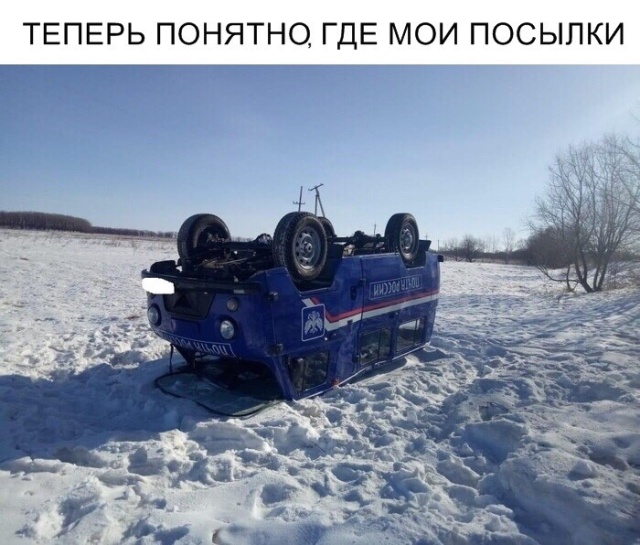 Прикольчики