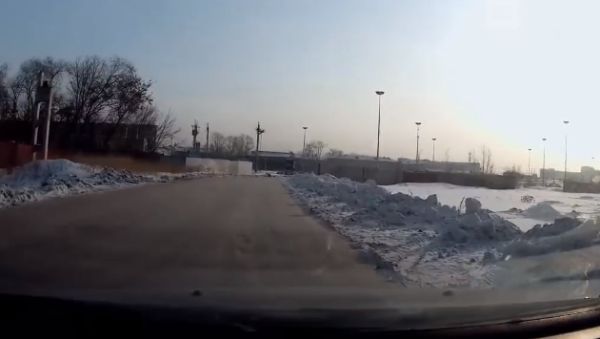 Водитель из Новокузнецка спас школьницу от нападения бродячих собак